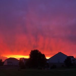 Meet your Posher, Dylan